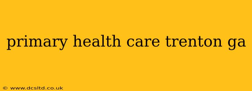 primary health care trenton ga