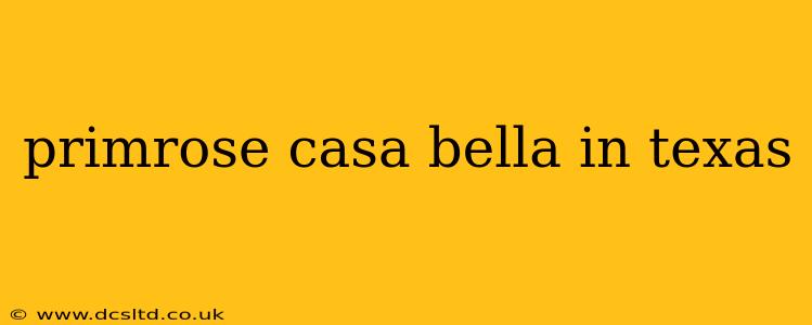 primrose casa bella in texas
