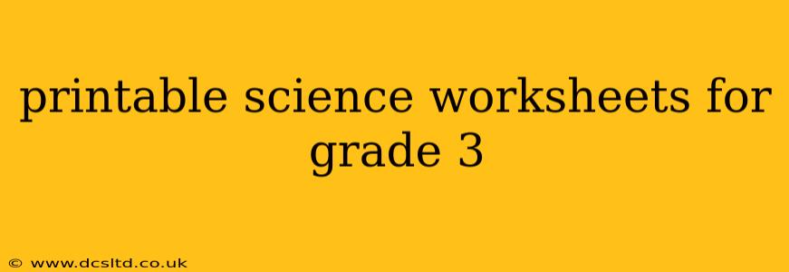 printable science worksheets for grade 3