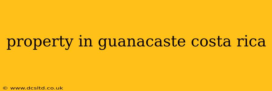 property in guanacaste costa rica