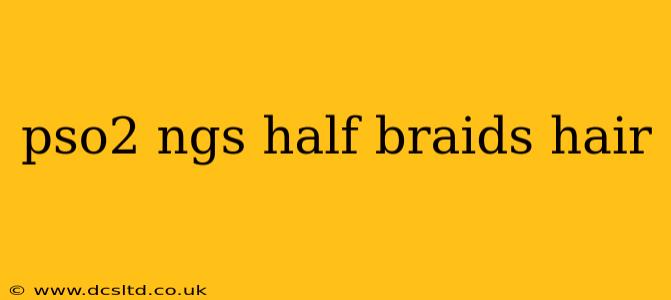 pso2 ngs half braids hair