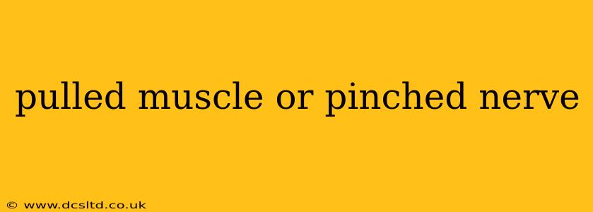 pulled muscle or pinched nerve