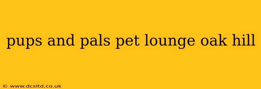pups and pals pet lounge oak hill