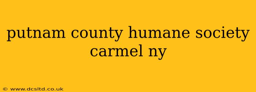 putnam county humane society carmel ny