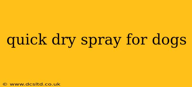 quick dry spray for dogs