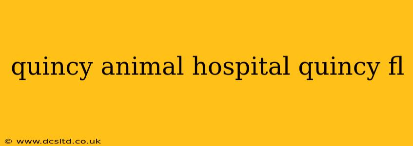 quincy animal hospital quincy fl