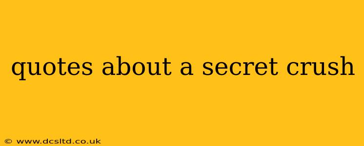 quotes about a secret crush