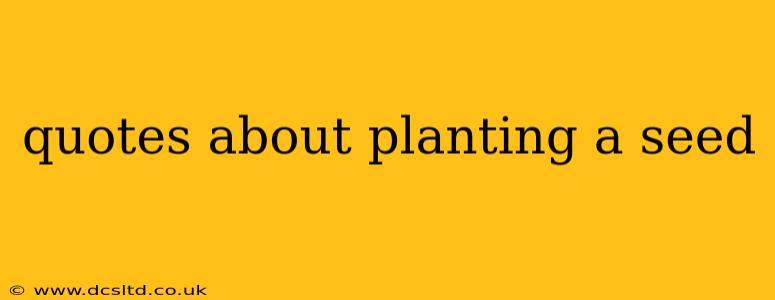 quotes about planting a seed