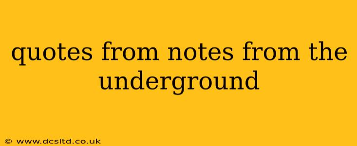 quotes from notes from the underground