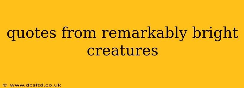 quotes from remarkably bright creatures