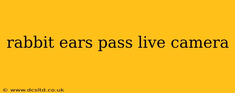 rabbit ears pass live camera