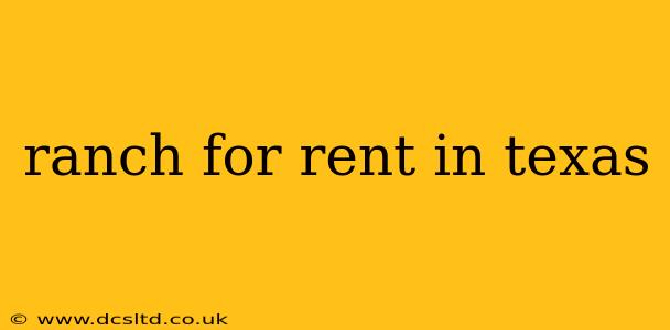ranch for rent in texas
