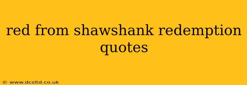 red from shawshank redemption quotes