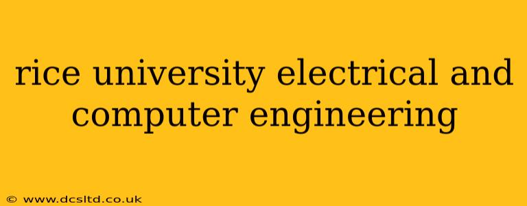 rice university electrical and computer engineering
