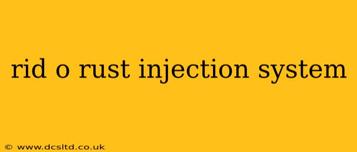 rid o rust injection system