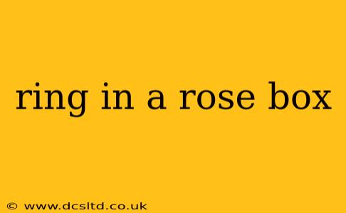 ring in a rose box