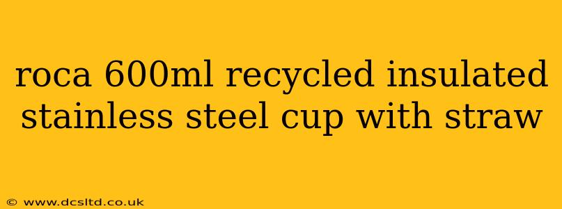 roca 600ml recycled insulated stainless steel cup with straw