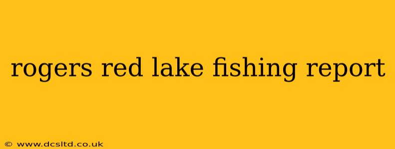 rogers red lake fishing report