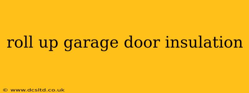 roll up garage door insulation