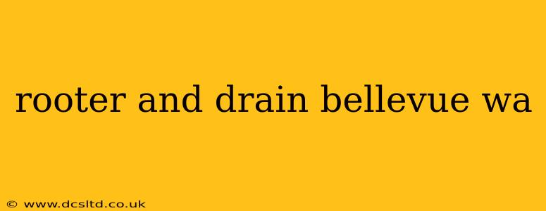 rooter and drain bellevue wa