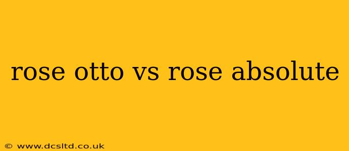 rose otto vs rose absolute