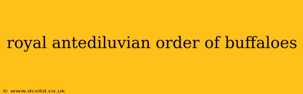 royal antediluvian order of buffaloes