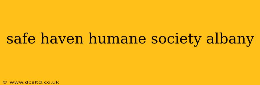 safe haven humane society albany