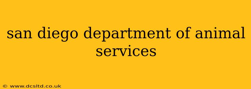 san diego department of animal services