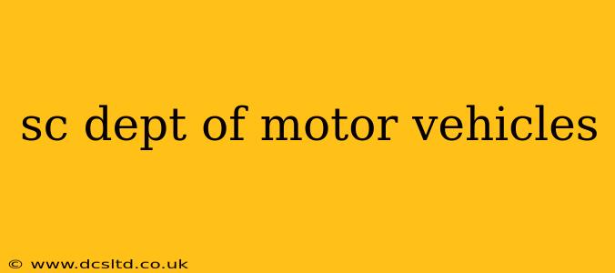 sc dept of motor vehicles