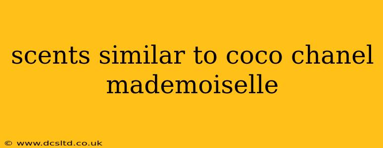 scents similar to coco chanel mademoiselle