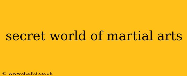 secret world of martial arts