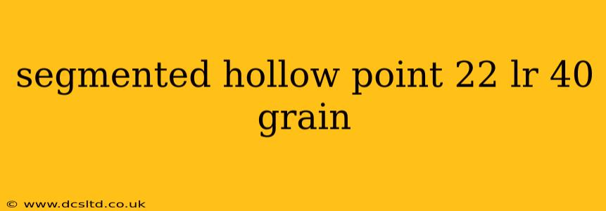 segmented hollow point 22 lr 40 grain