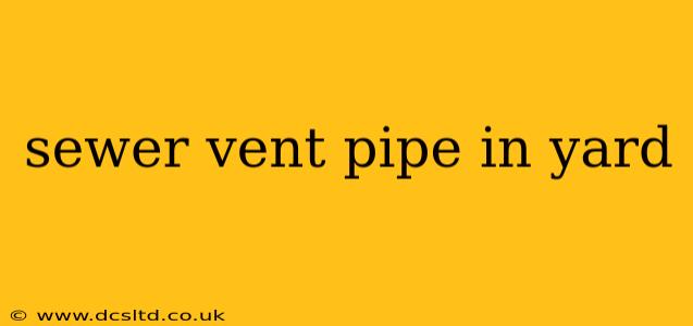 sewer vent pipe in yard