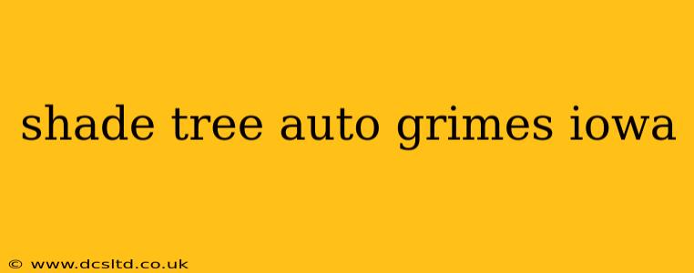 shade tree auto grimes iowa