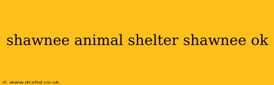 shawnee animal shelter shawnee ok