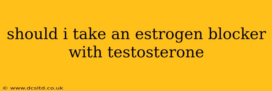 should i take an estrogen blocker with testosterone