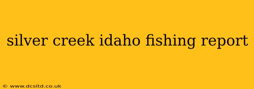 silver creek idaho fishing report