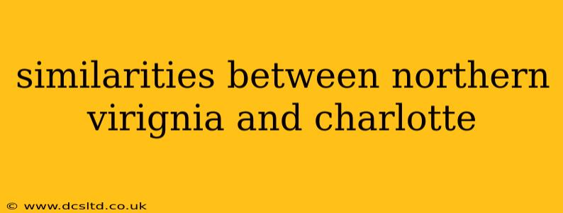 similarities between northern virignia and charlotte