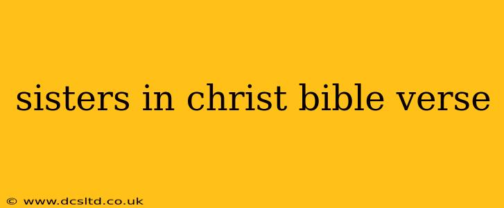 sisters in christ bible verse