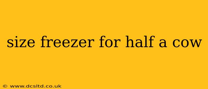 size freezer for half a cow