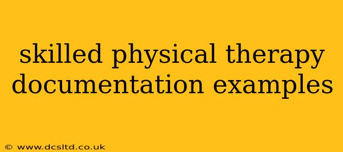 skilled physical therapy documentation examples