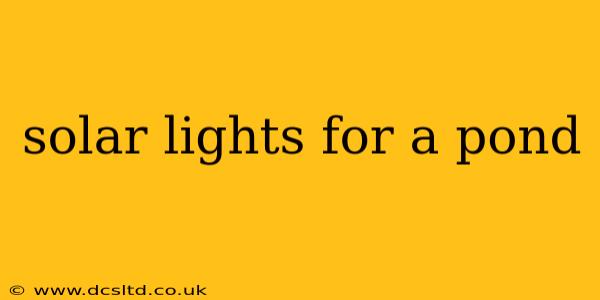 solar lights for a pond