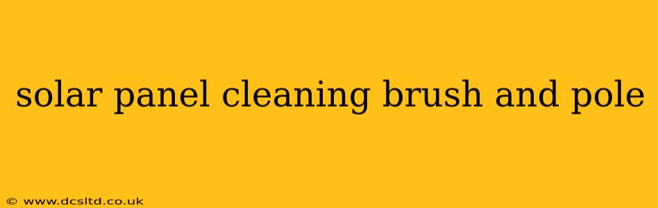 solar panel cleaning brush and pole