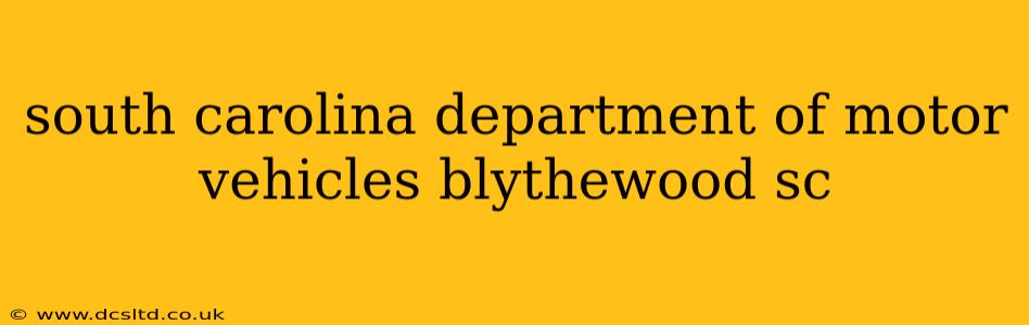 south carolina department of motor vehicles blythewood sc