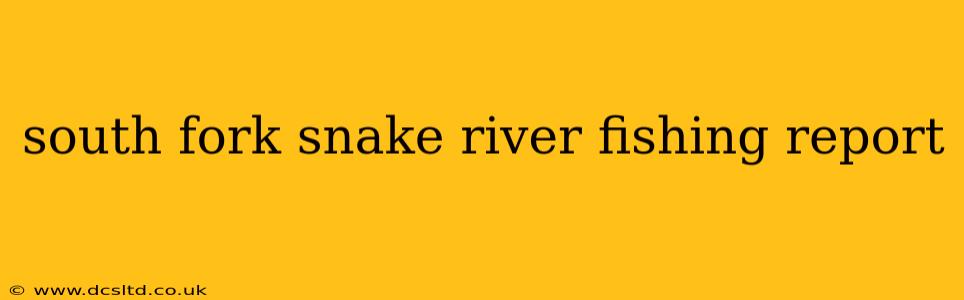 south fork snake river fishing report