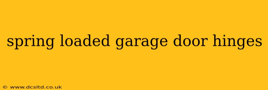 spring loaded garage door hinges
