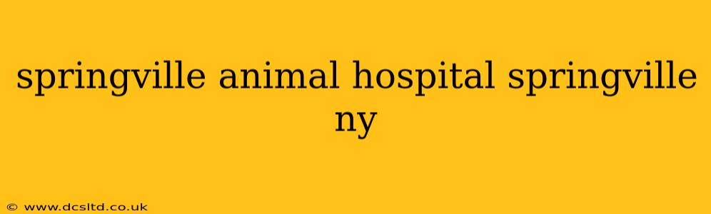 springville animal hospital springville ny