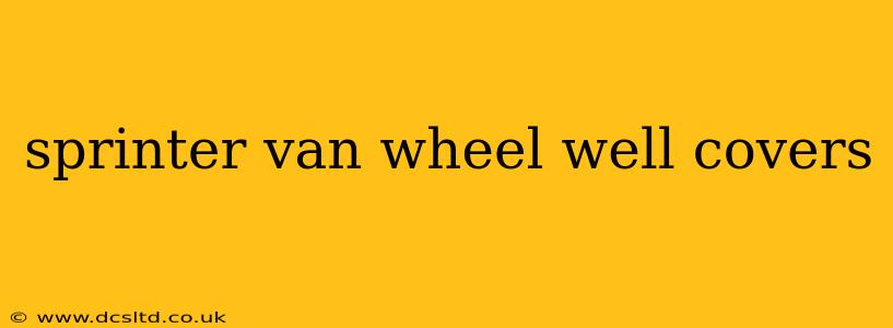 sprinter van wheel well covers