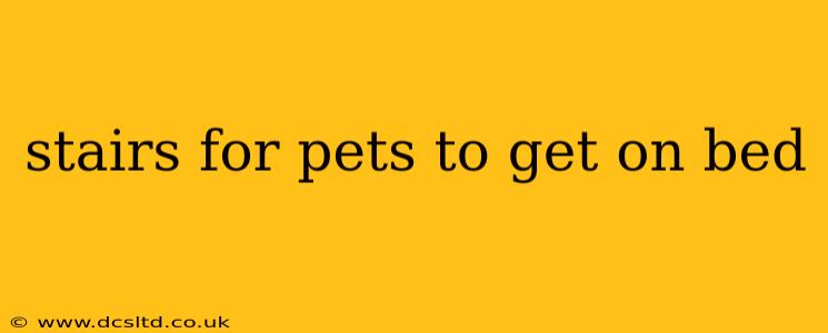 stairs for pets to get on bed
