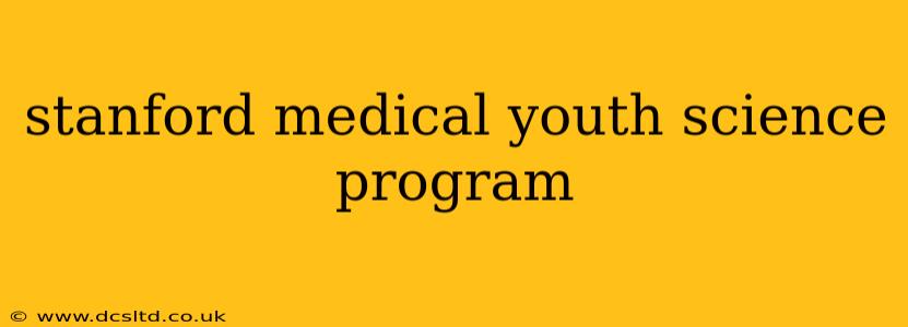 stanford medical youth science program